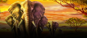 Un elefante e lo sfondo grafico della slot Savana Selvatica e il logo della slot SNAI.