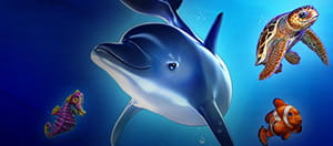 I personaggi della slot Wild Dolphin e il logo del casinò NetBet.