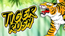 Il logo della slot Tiger Rush.