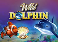 Il protagonista della slot Wild Dolphin prodotta da Gameart.